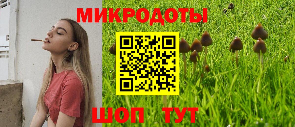 Галлюциногенные грибы мицелий Черняховск