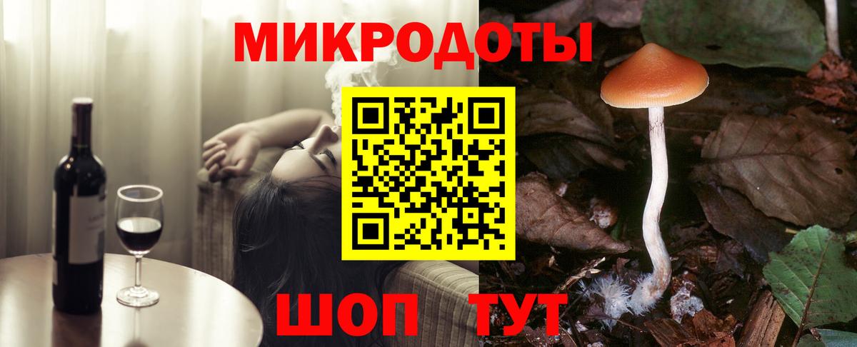 Черняховск  Галлюциногенные грибы Psilocybe  Вход с VPN 